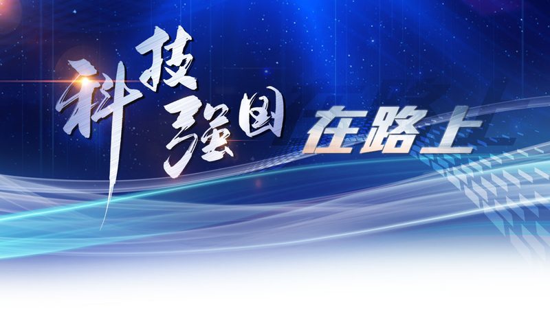 数据安全风险评估：企业如何构建坚实防线